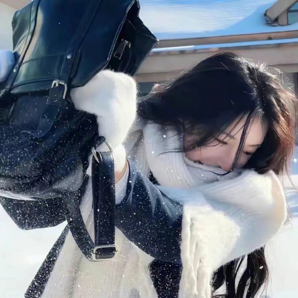 庙街公主